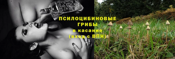 apvp Алзамай