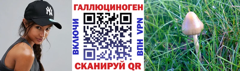 Галлюциногенные грибы MAGIC MUSHROOMS  что такое наркотик  Кущёвская 